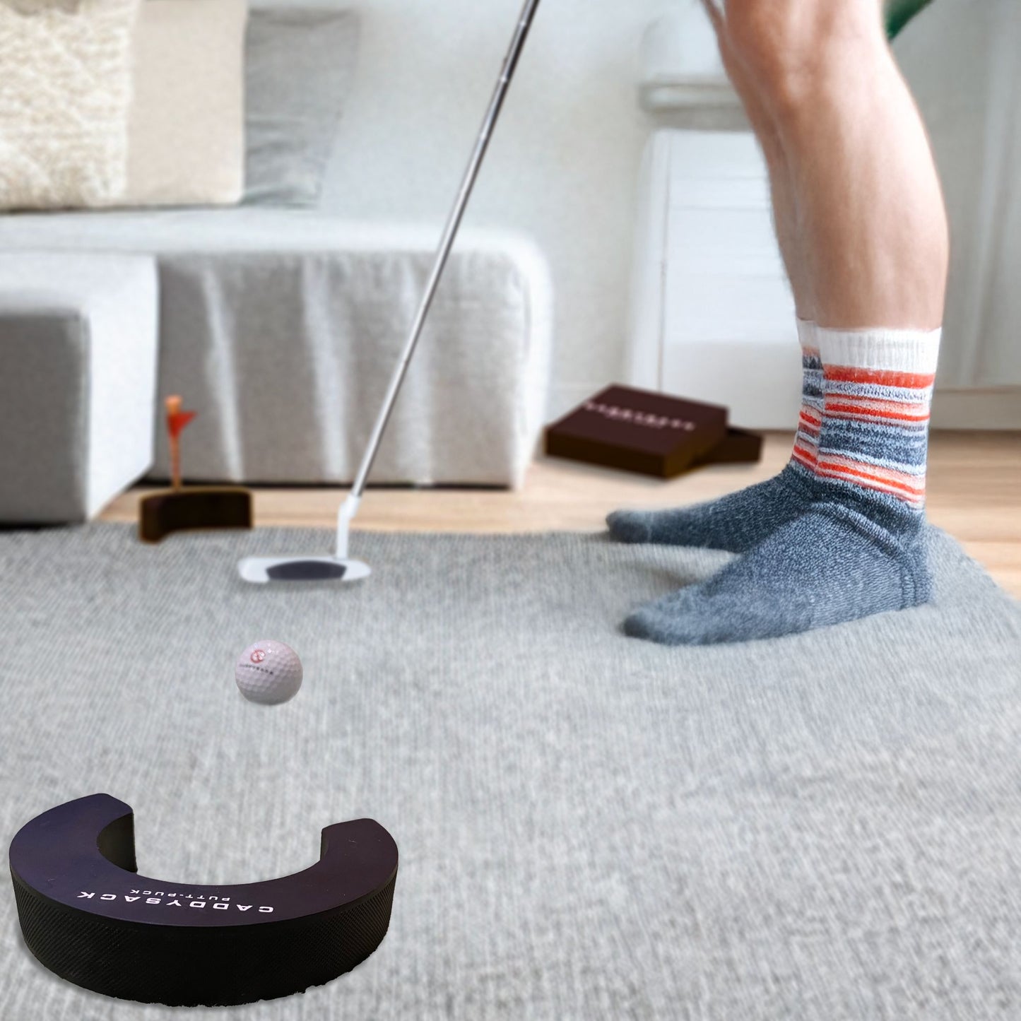 Putt-Puck on the carpet