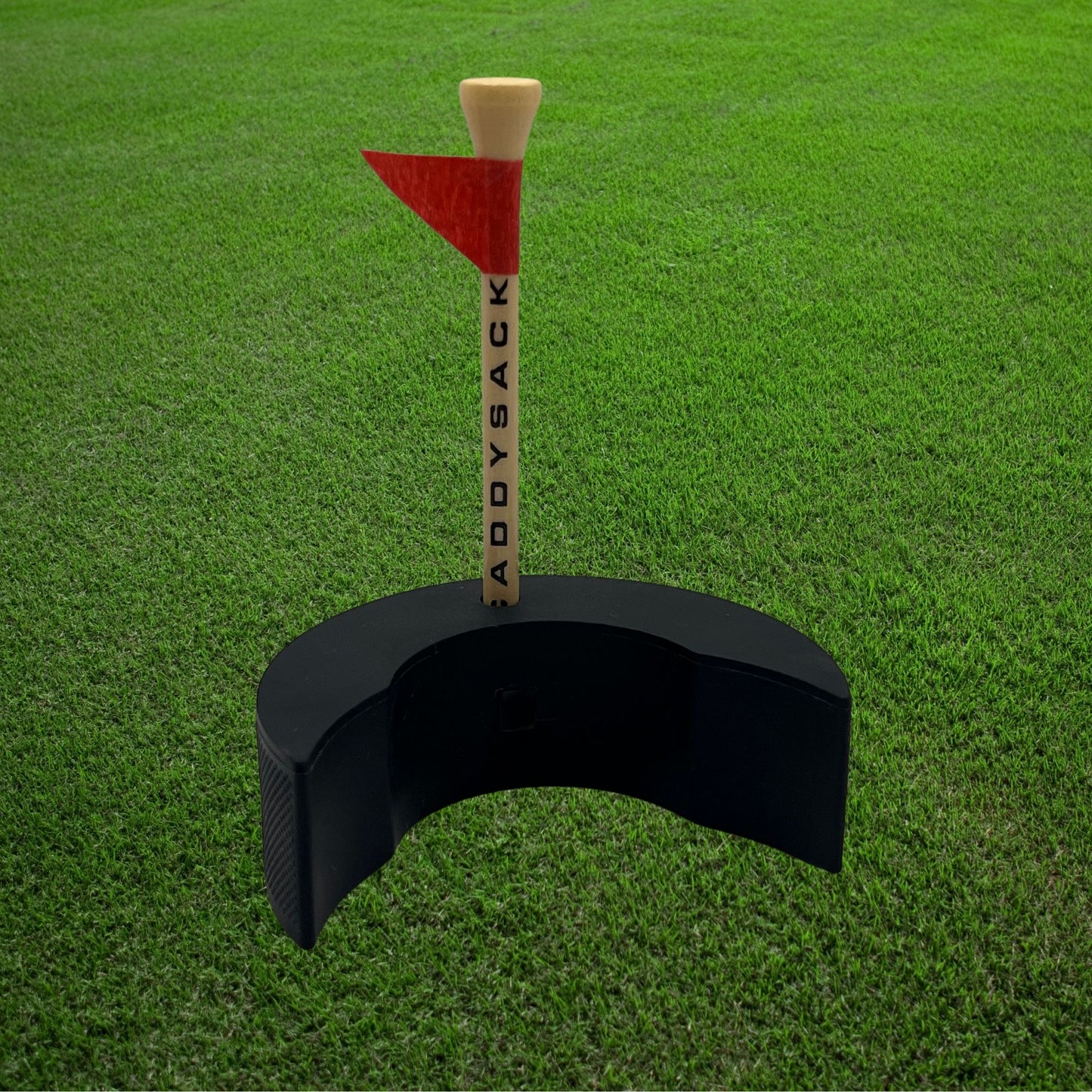 Putt-Puck pro insert target