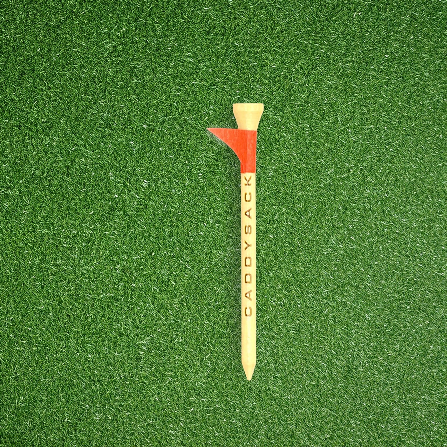 Putt-Puck Tee