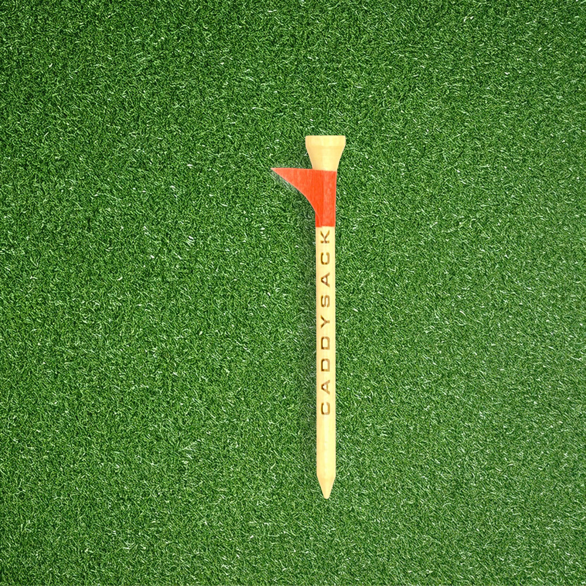 Putt-Puck Tee